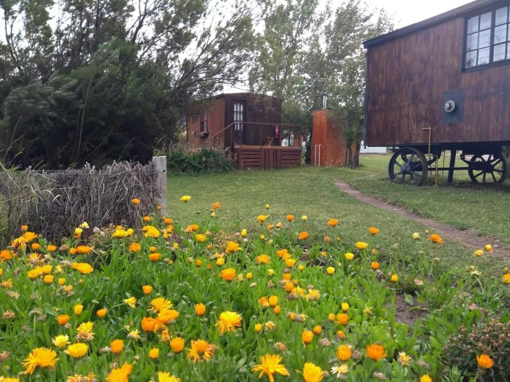 Hosteria Tercera Barranca Torres del Paine National Park Exterior photo